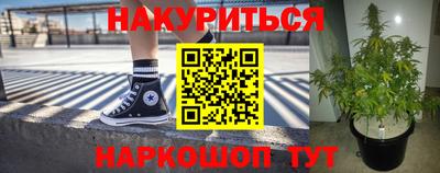 гашик Славгород