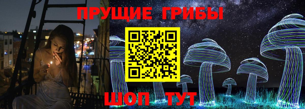 Псилоцибиновые грибы MAGIC MUSHROOMS Осинники