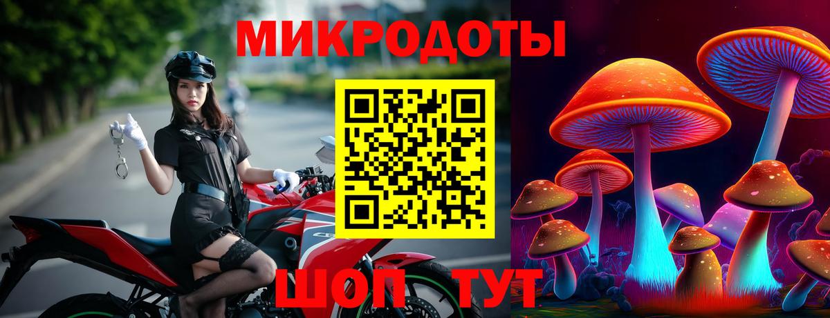 Галлюциногенные грибы Psilocybe  Вход с VPN  Осинники 